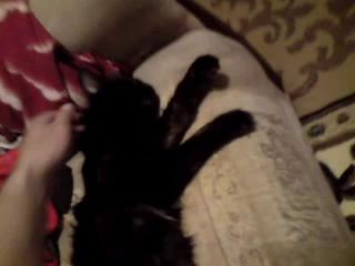 КРЕПКИЙ И ЗДОРОВЫЙ СОН