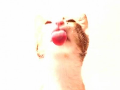 Чистка монитора-2