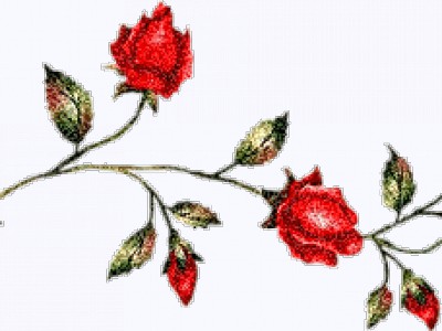 цветок плеер