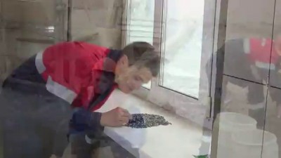 Первокурсник ПГС 2013 "мало тебя"