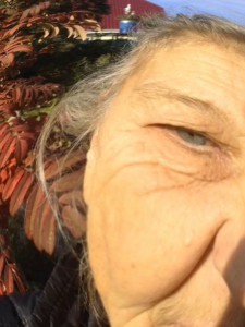 Сельский Трэш 3