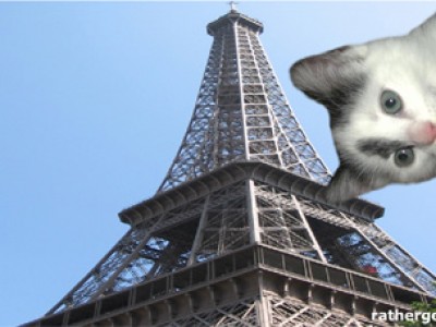 looking_for_my_leopard