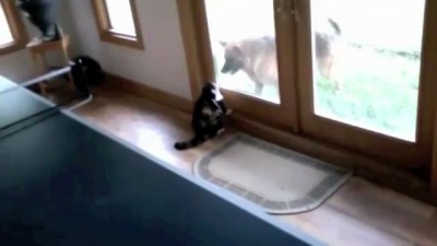 оконные войны