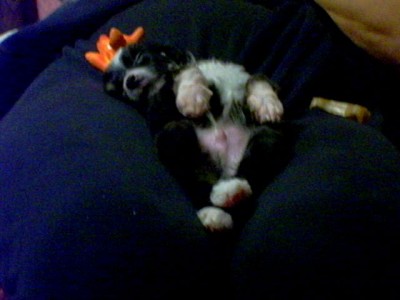 И снится нам...