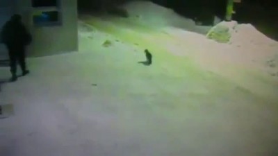 Как мужик коту дорогу показал