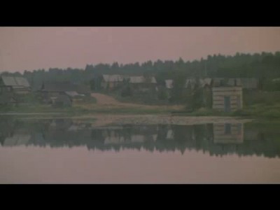 Одинокая ветка сирени