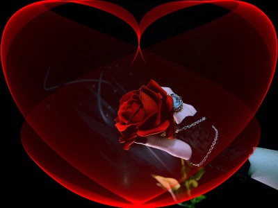 спокойной ночи