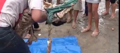 Обглодали пираньи