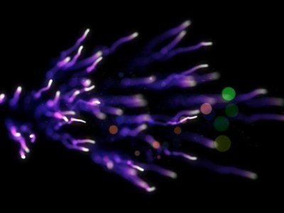 Quick Particular Titles Package 001