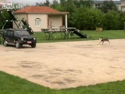 Собакен-подрывник