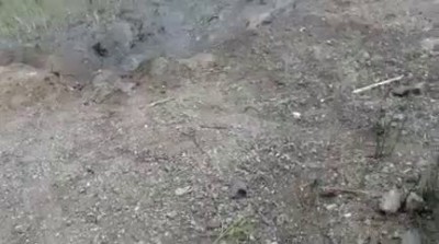 Станица Луганская