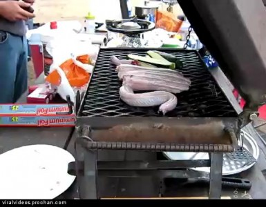 Шашлык из гремучей змеи