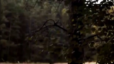 Аркона - Славься, Русь! - видеоклип