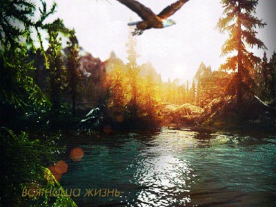 Валерий Кипелов - Я свободен!