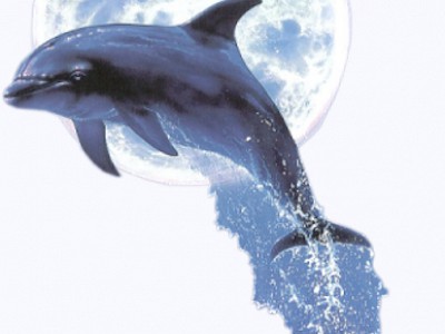 На синем море