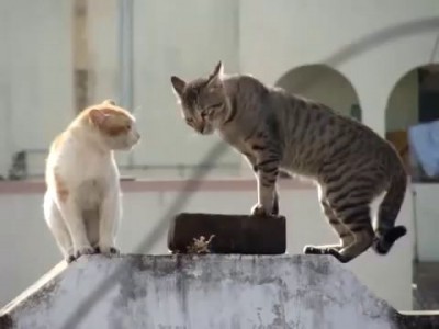 А в это время