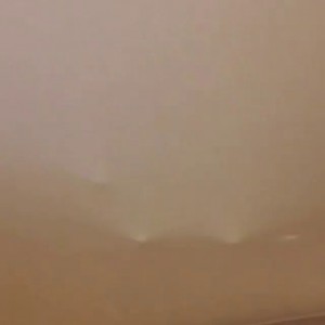 кот в мешке