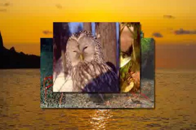 Славное море.