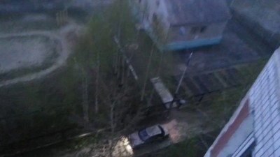 Медведь в Нижневартовске