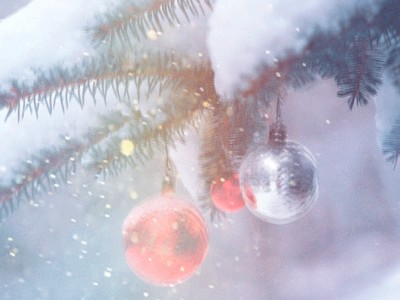 Прекрасного дня