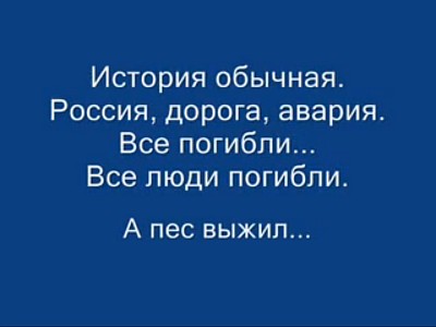 Собака ждала хозяев 7 лет