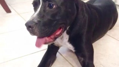 "How to Overcome Your Fears" by Queso