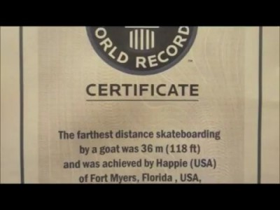 Олимпийская коза