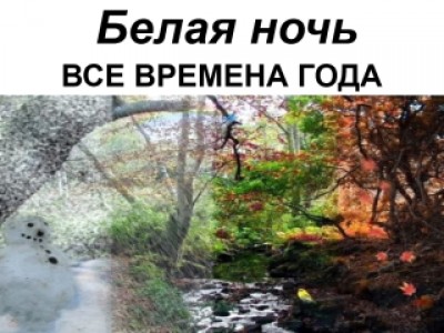 Белая ночь