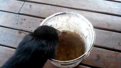 Итог пятичасовой рыбалки.