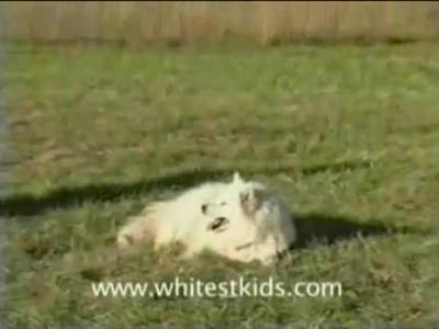 Не думай о фиолетовом слоне