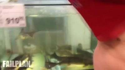 Вован,нахуй ты в бассейн залез?