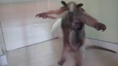 Рама активирована