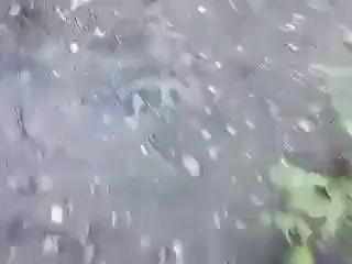 забили бомжей