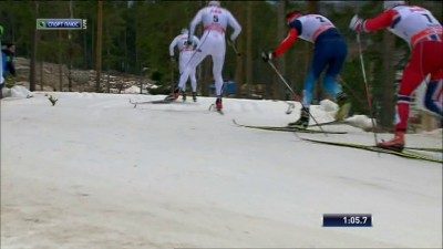 Шведский скороход