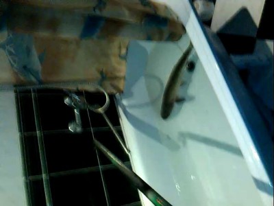 экстремальная рыбалка