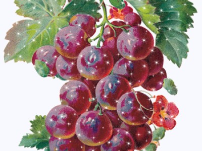 Вахтанг Кикабидзе "Виноградная косточка"