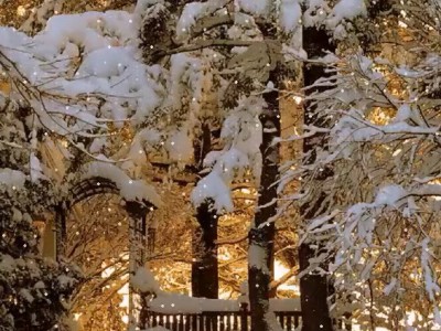 Зима-снег идет