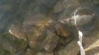 Вертикальный мат