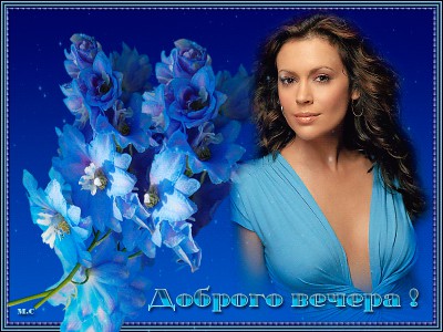 Доброго вечера !