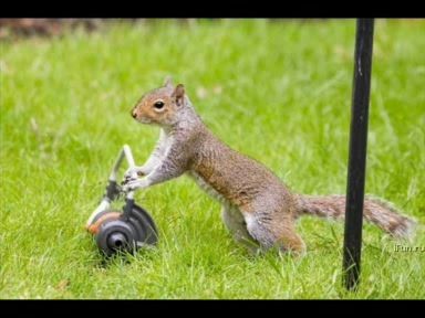 Забавное и удивительное