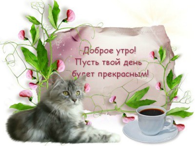 Доброе утро
