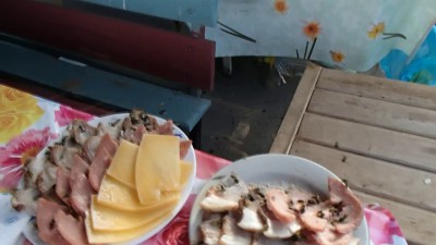 Осы, сыр и колбаса