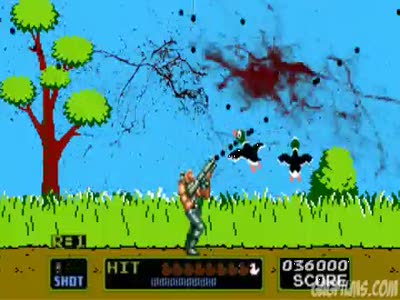 Contra vs. Duck Hunt