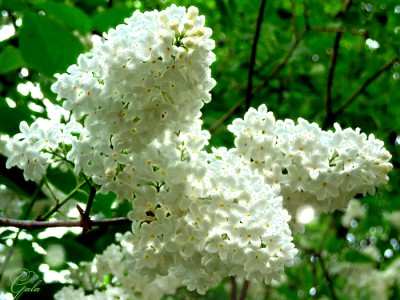 Доброго дня.