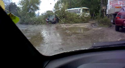 После дождика