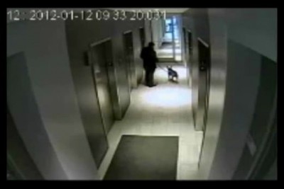 Собакену крупно повезло .