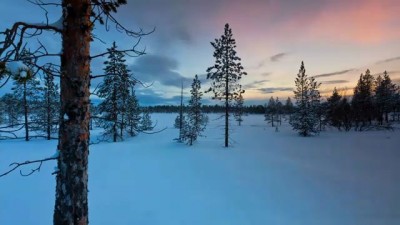 Terje Sorgjerd - The Aurora