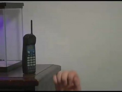 Танцуем и поем-русский ленгвич познаём!