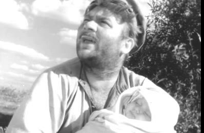 донская повесть