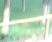 ХХХ на улицt Павлодара